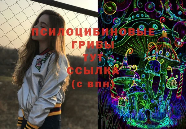 прущие крисы Алзамай
