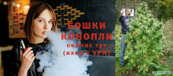 спайс Алексин