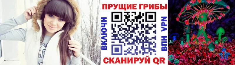 Галлюциногенные грибы Cubensis Добрянка