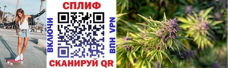 закладки  Добрянка  Конопля тримм 